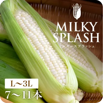 静岡県産とうもろこし 甘々娘甘太郎
