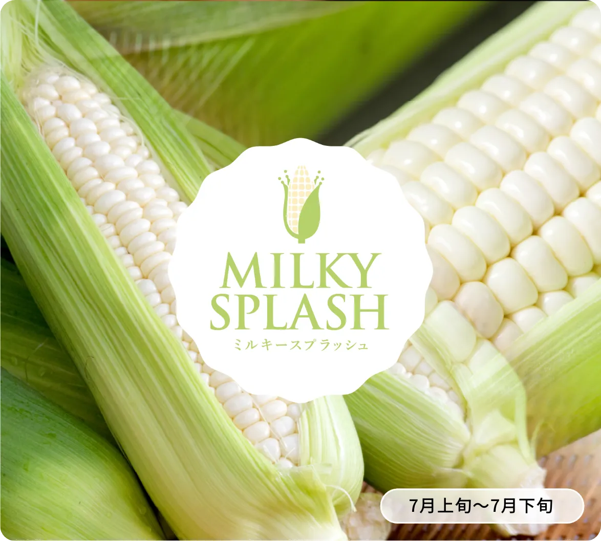ミルキースプラッシュ