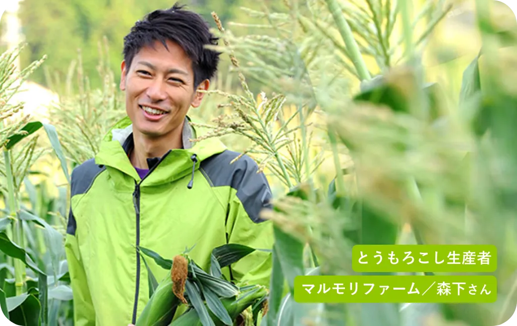 とうもろこし生産者マルモリファーム/森下さん