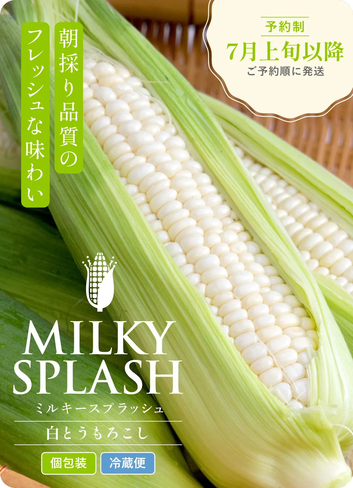ミルキースプラッシュ