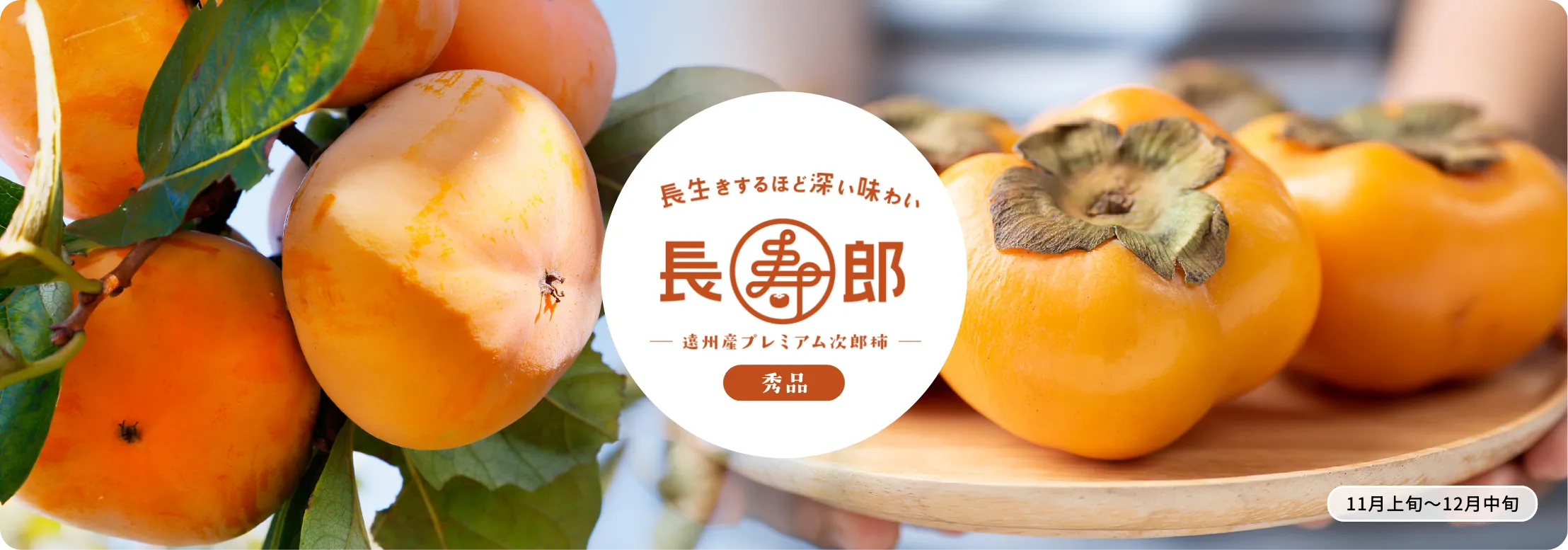次郎柿 長寿郎【秀品】