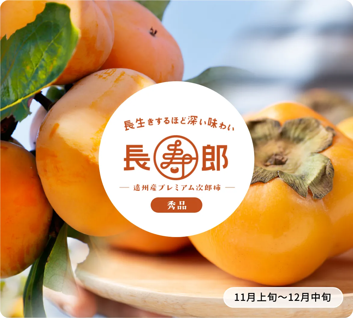 次郎柿 長寿郎【秀品】