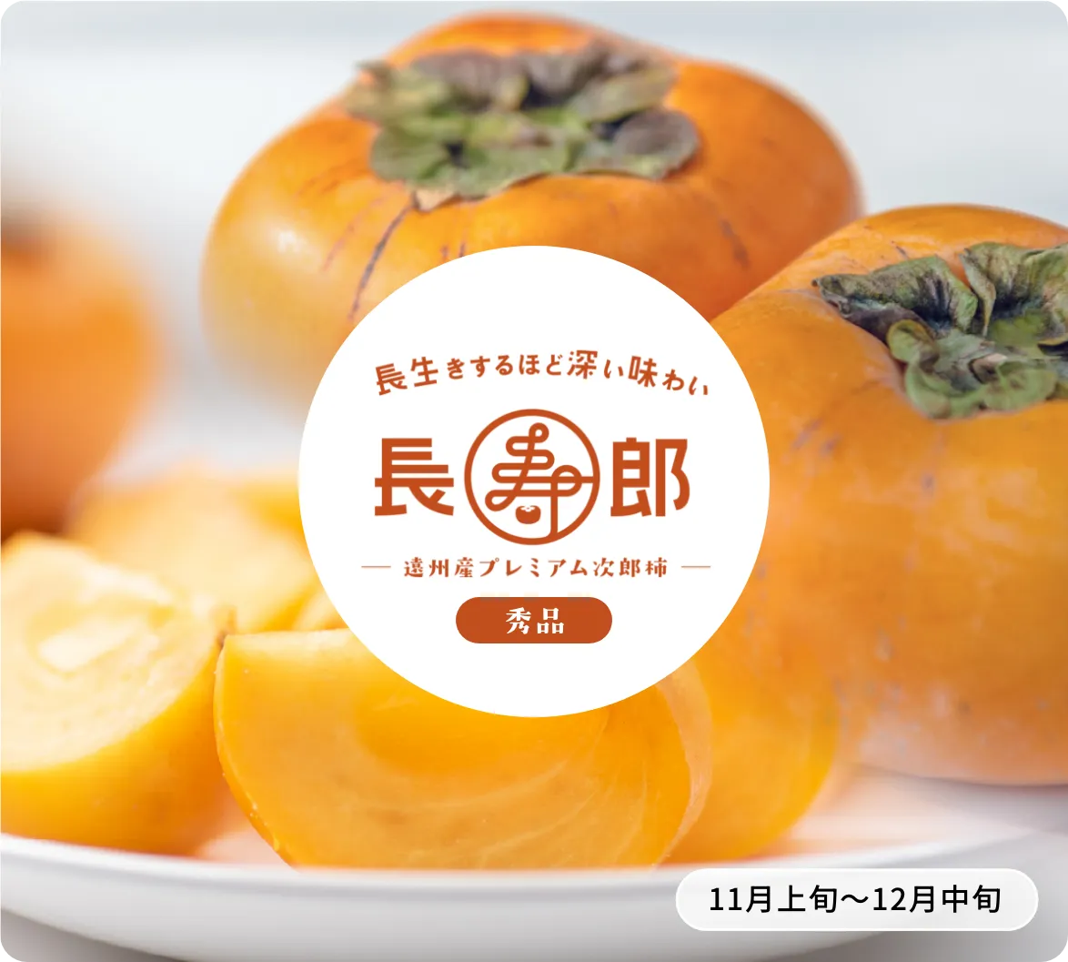 次郎柿 長寿郎【訳あり】