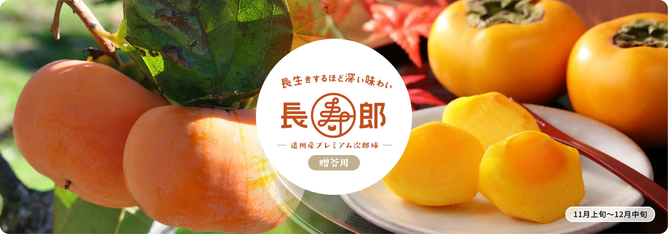 次郎柿 長寿郎【贈答用】