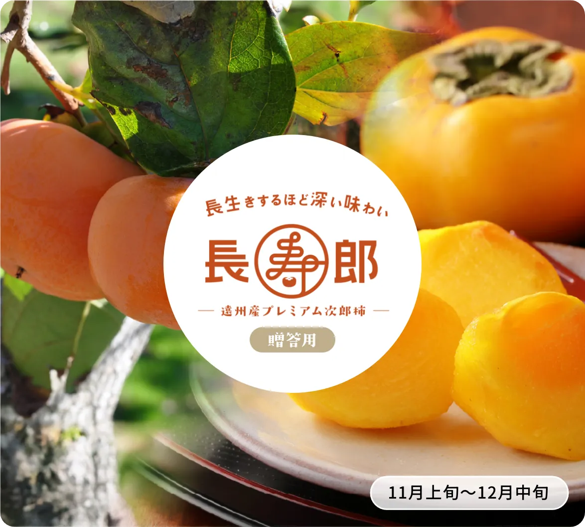 次郎柿 長寿郎【贈答用】