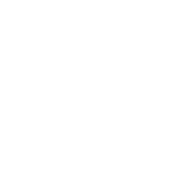 高平さんのブラックシャインマスカット