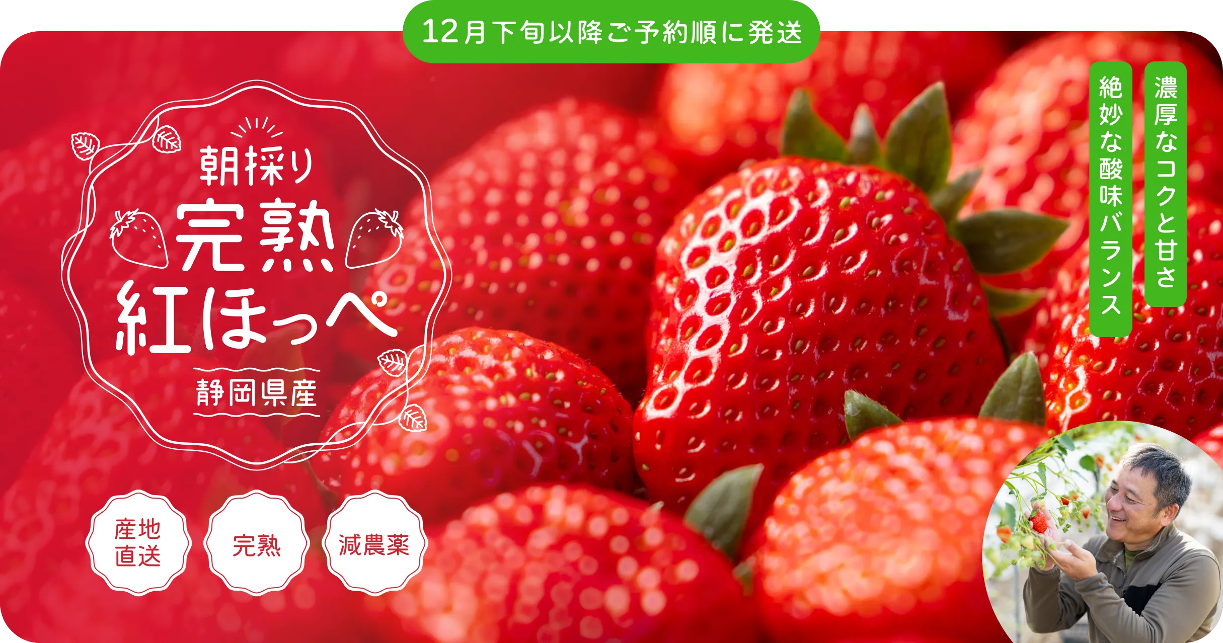 長寿郎【秀品】