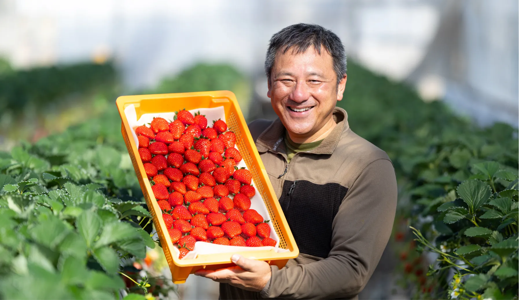 産地直送でお届け!
