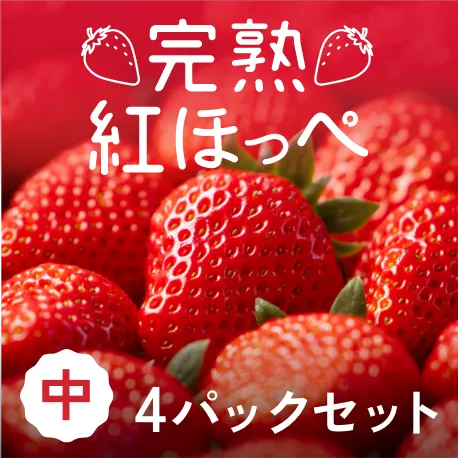 静岡県産 朝採り完熟紅ほっぺ