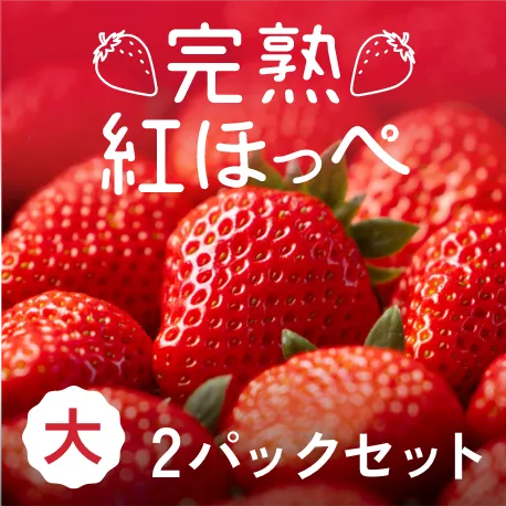 静岡県産 朝採り完熟紅ほっぺ