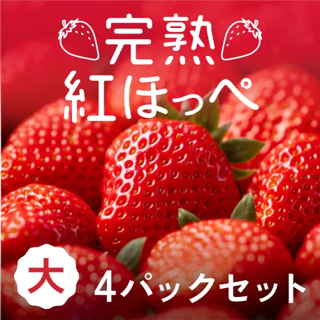 静岡県産 朝採り完熟紅ほっぺ