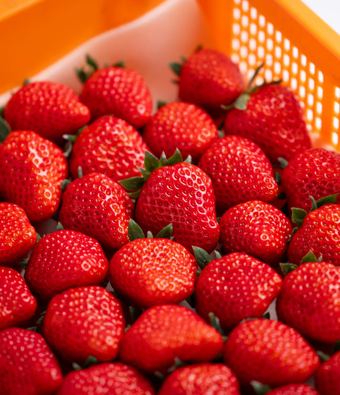 濃厚なコクと甘み