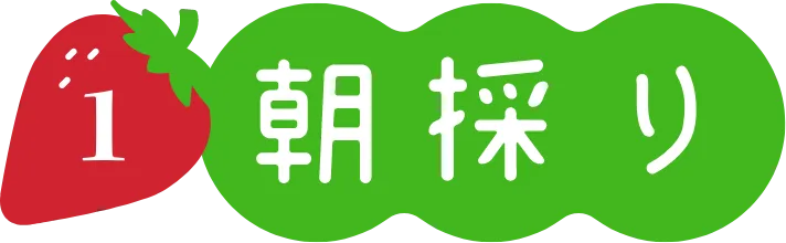 朝採り