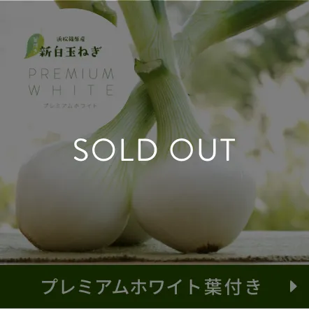 プレミアムホワイト葉付き