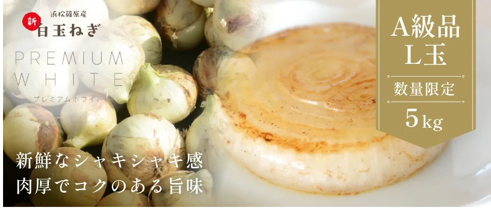 浜松篠原産葉新玉ねぎA級品