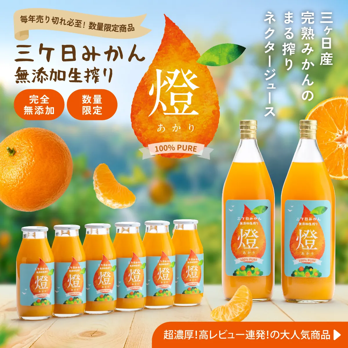 三ヶ日みかん100%ジュース 燈