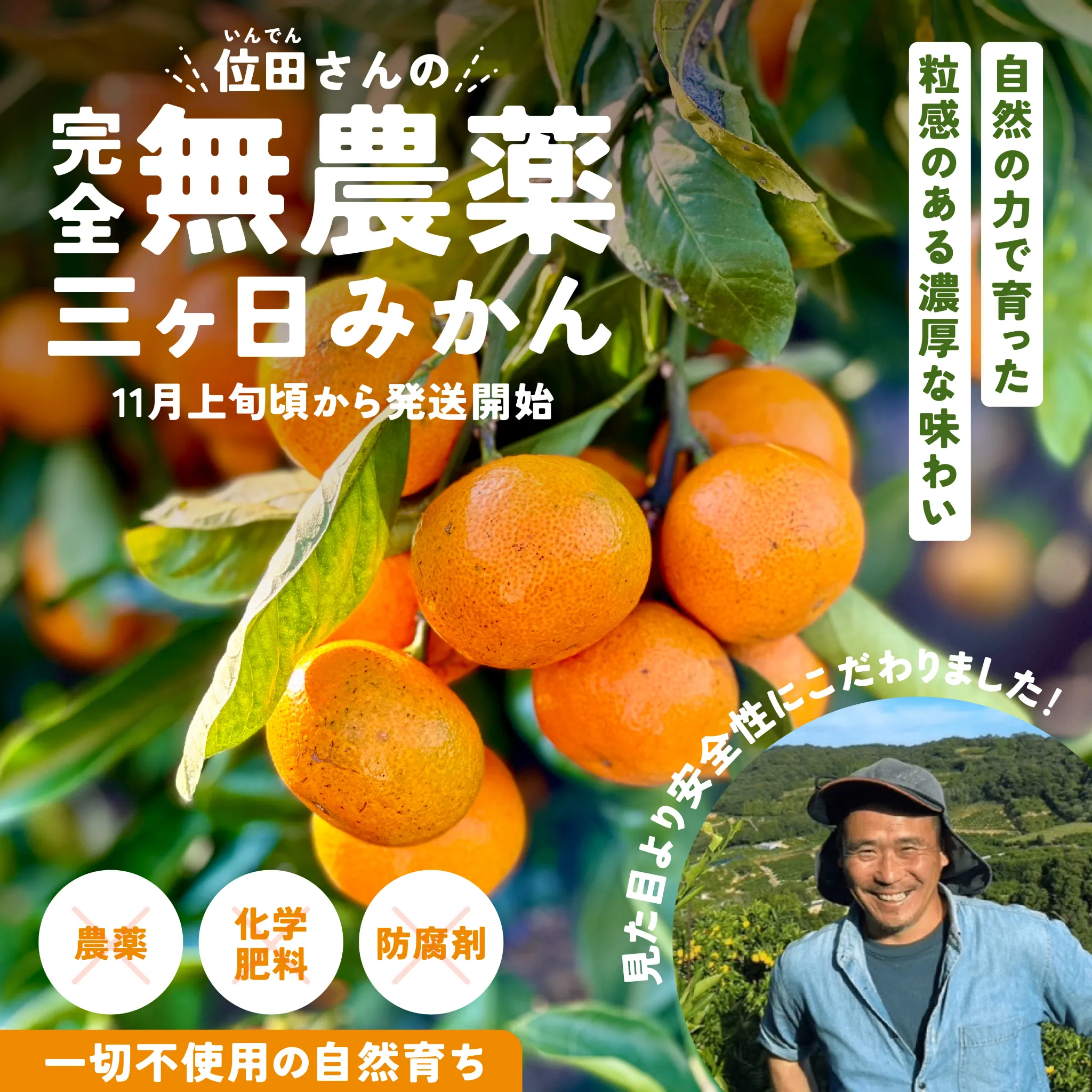 位田さんのみかん