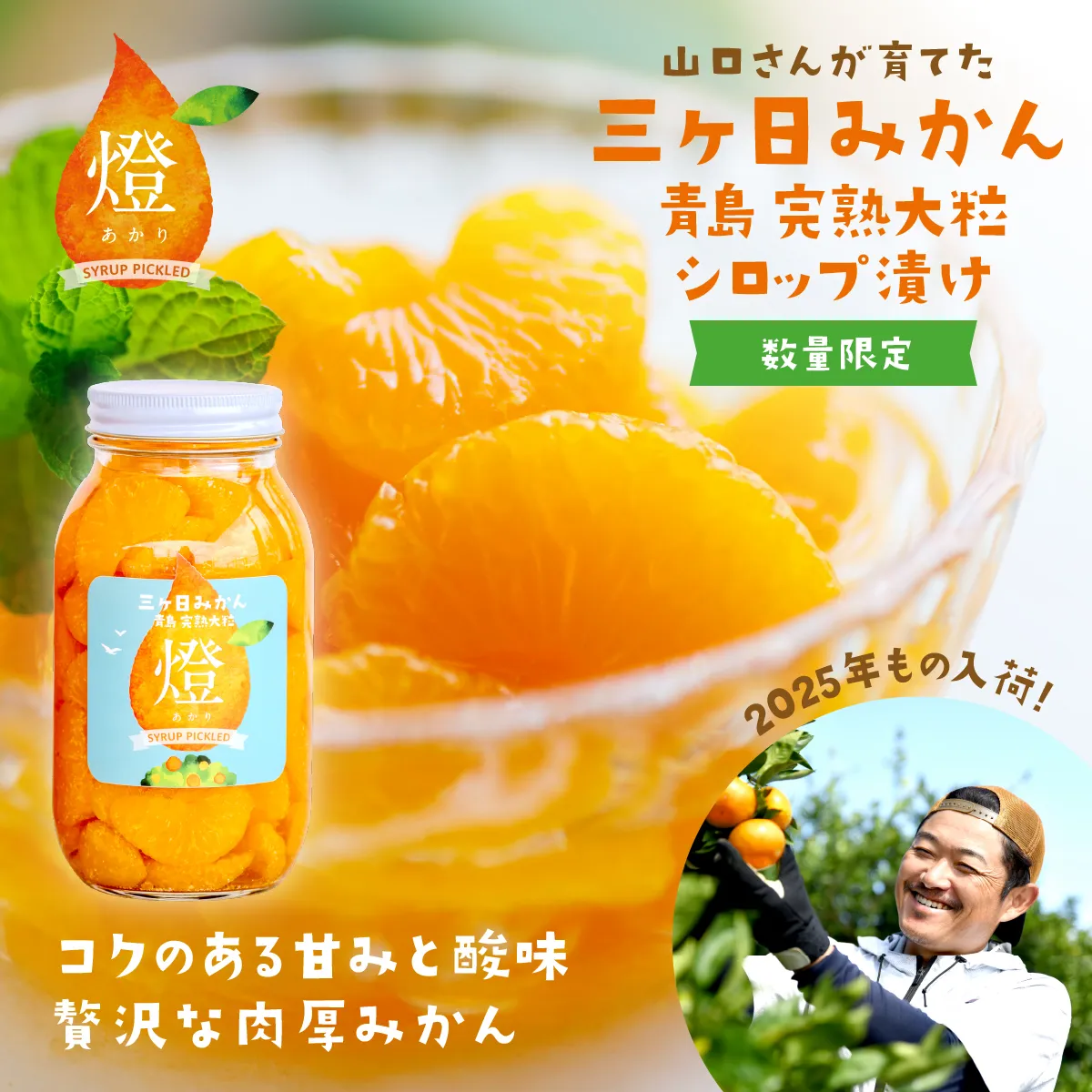 三ヶ日みかんシロップ漬け