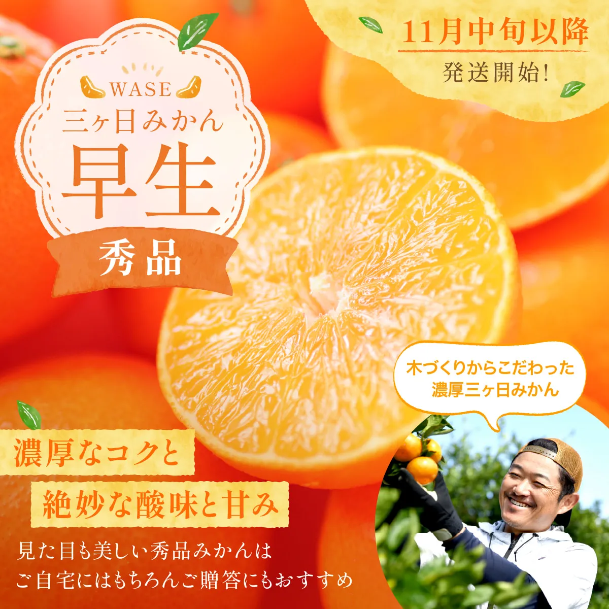 三ヶ日みかん早生秀品