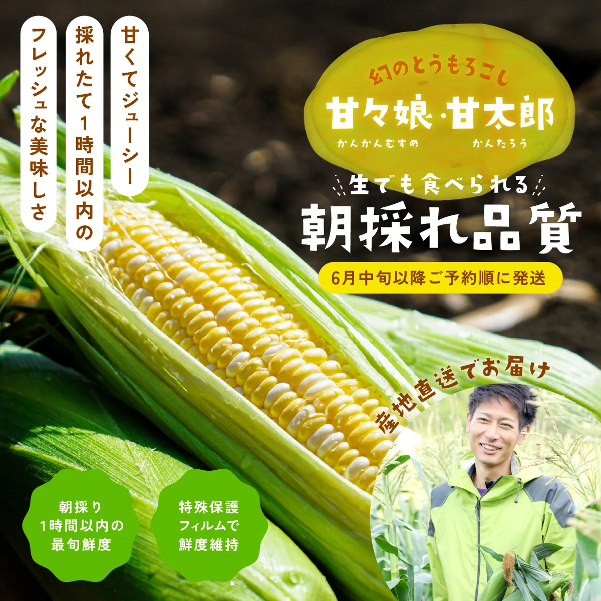 赤玉ねぎ