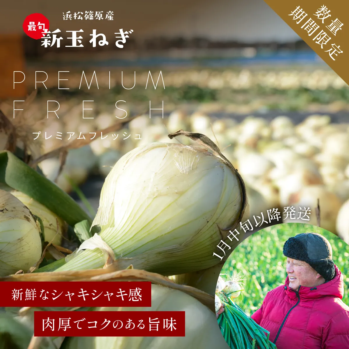 朝採りの極上白玉ねぎプレミアムホワイトをお得に通販・お取り寄せでお