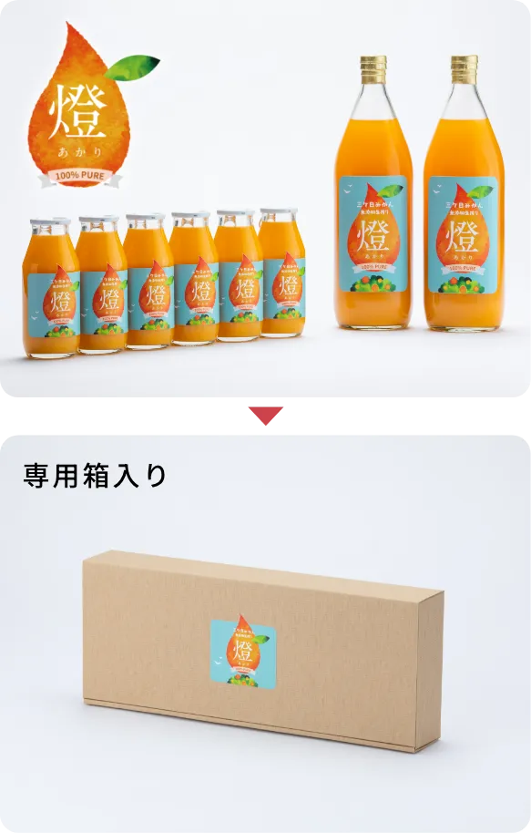 三ヶ日みかんジュース燈
