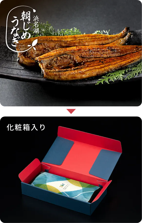 朝じめうなぎ