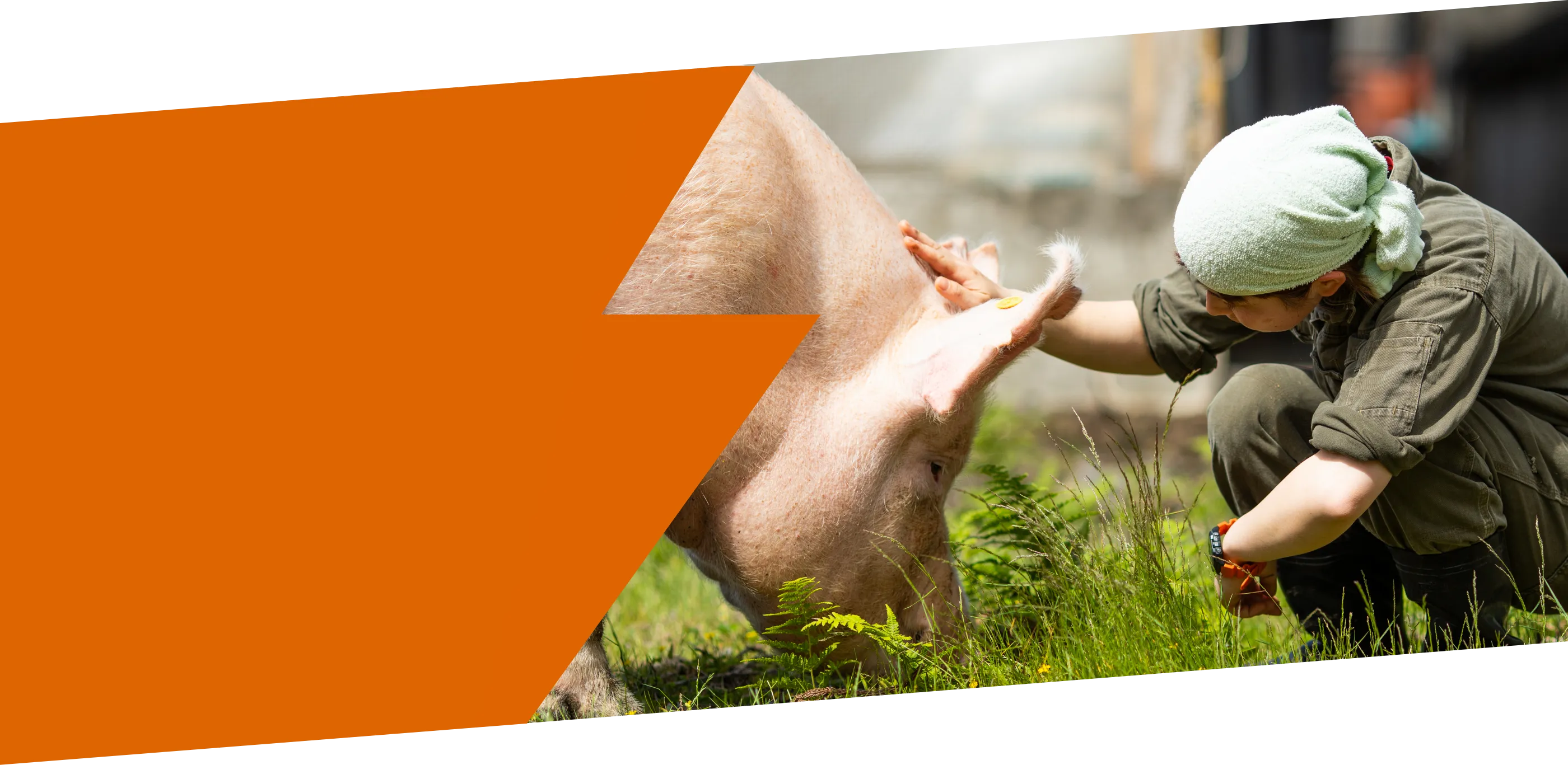 おいしさのポイント