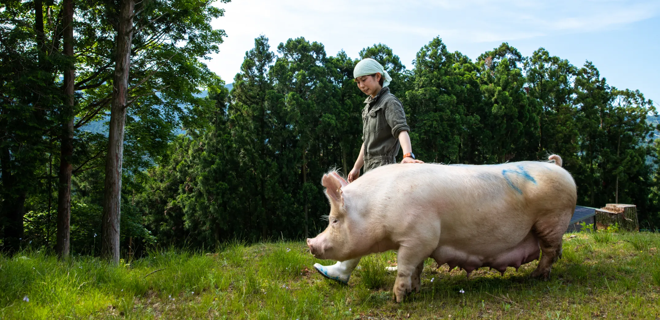 のびのびと育成