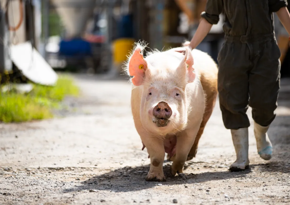 「いのち」をお届けするということ