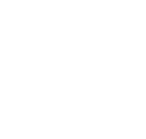 鶏