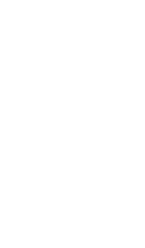 味噌
