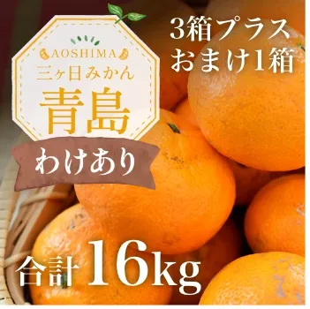三ヶ日みかん青島-わけあり-16kg