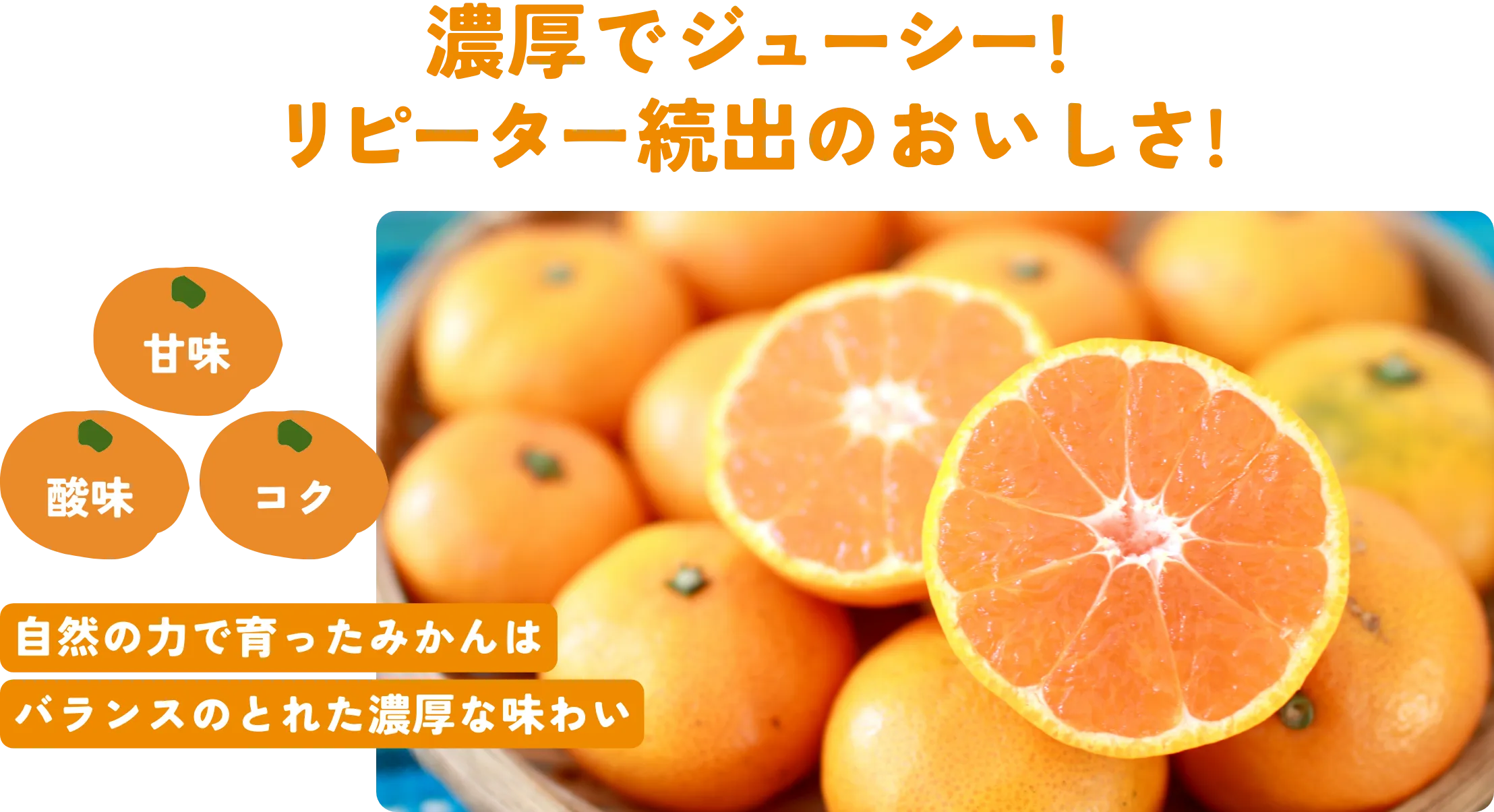 リピーター続出