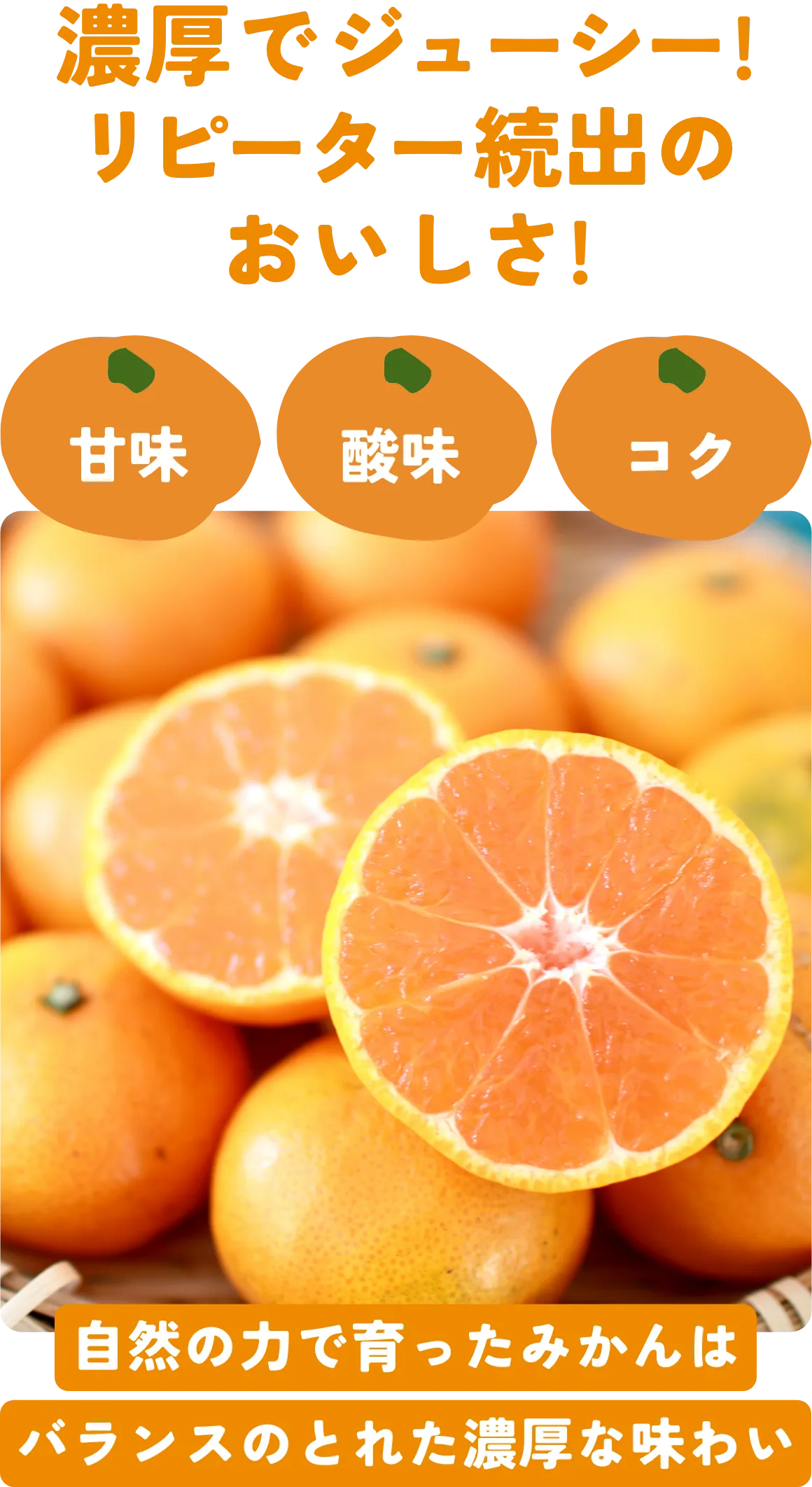 リピーター続出