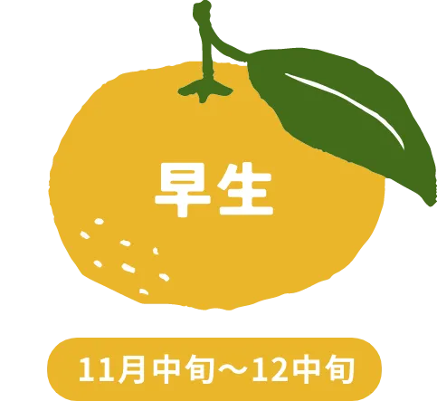 早生