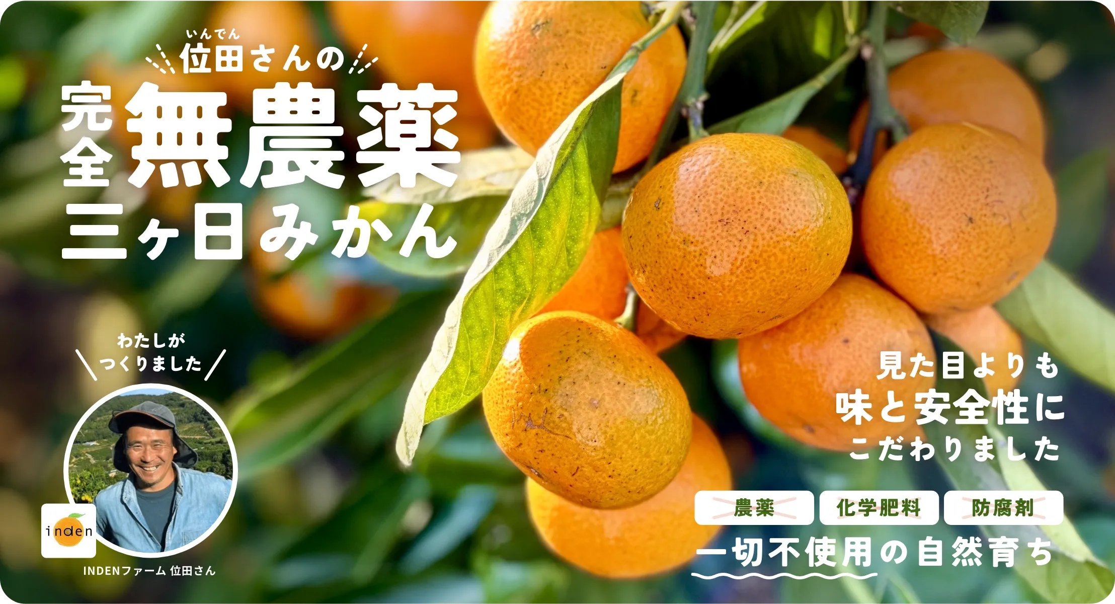 位田さんの完全無農薬三ヶ日みかん