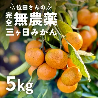位田さんの完全無農薬三ヶ日みかん5kg
