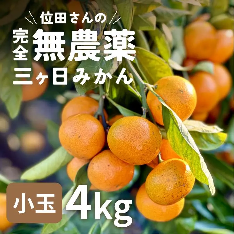位田さんの完全無農薬三ヶ日みかん小玉4kg