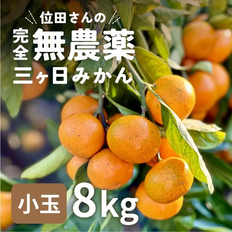位田さんの完全無農薬三ヶ日みかん小玉8kg