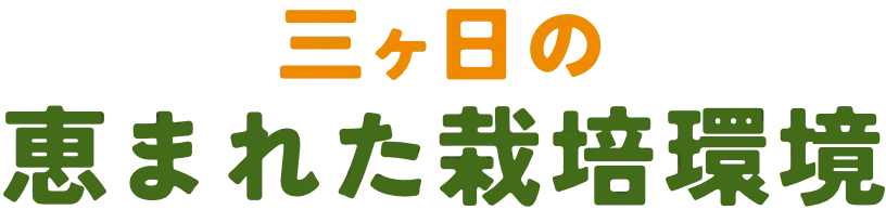 三ヶ日の恵まれた栽培環境