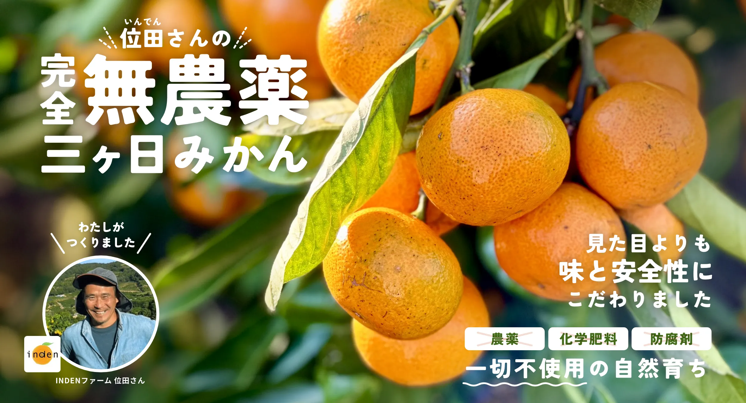 位田さんの完全無農薬三ヶ日みかん