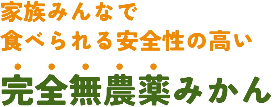 完全無農薬みかん