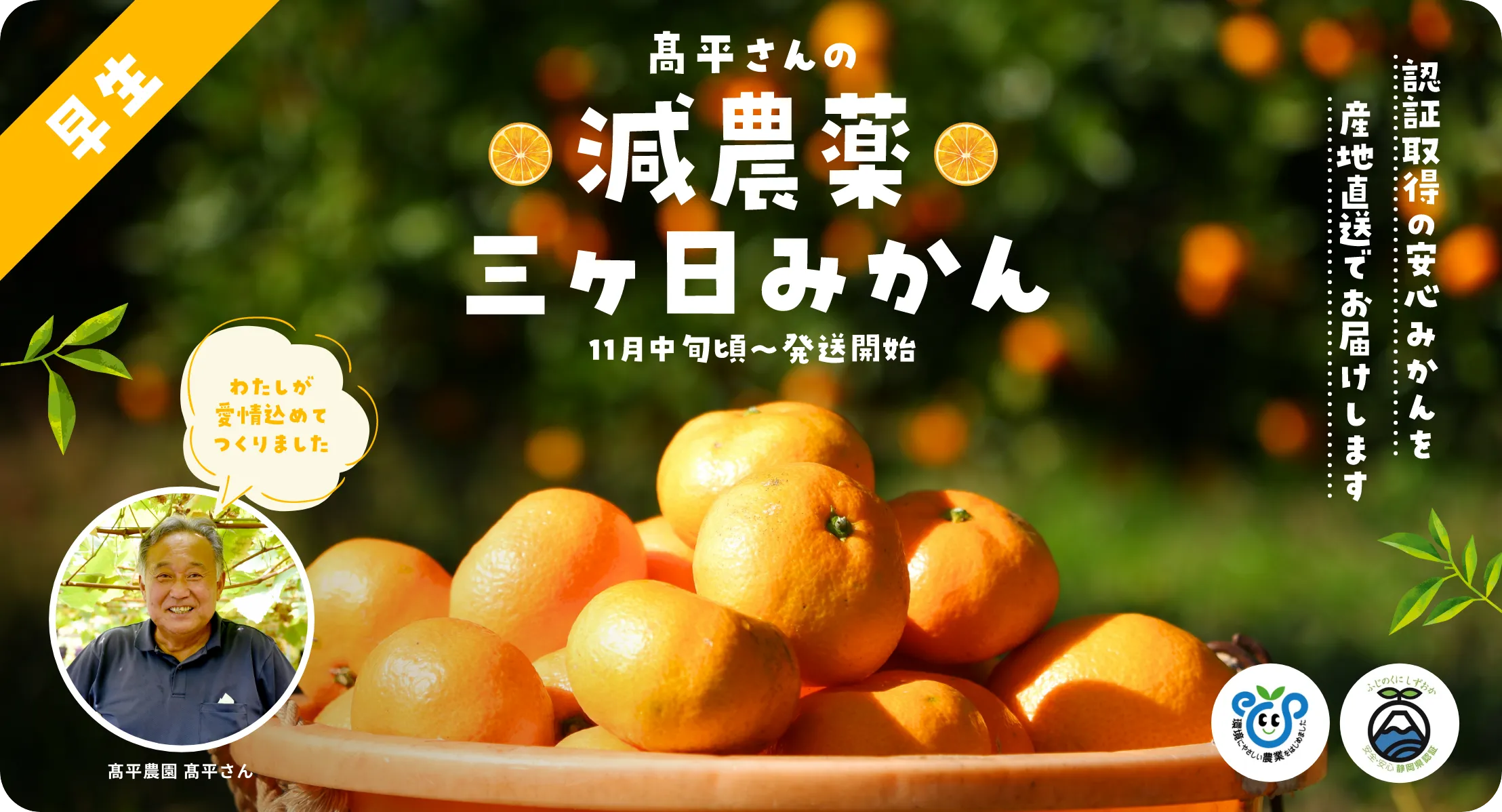 髙平さんの減農薬
三ヶ日みかん