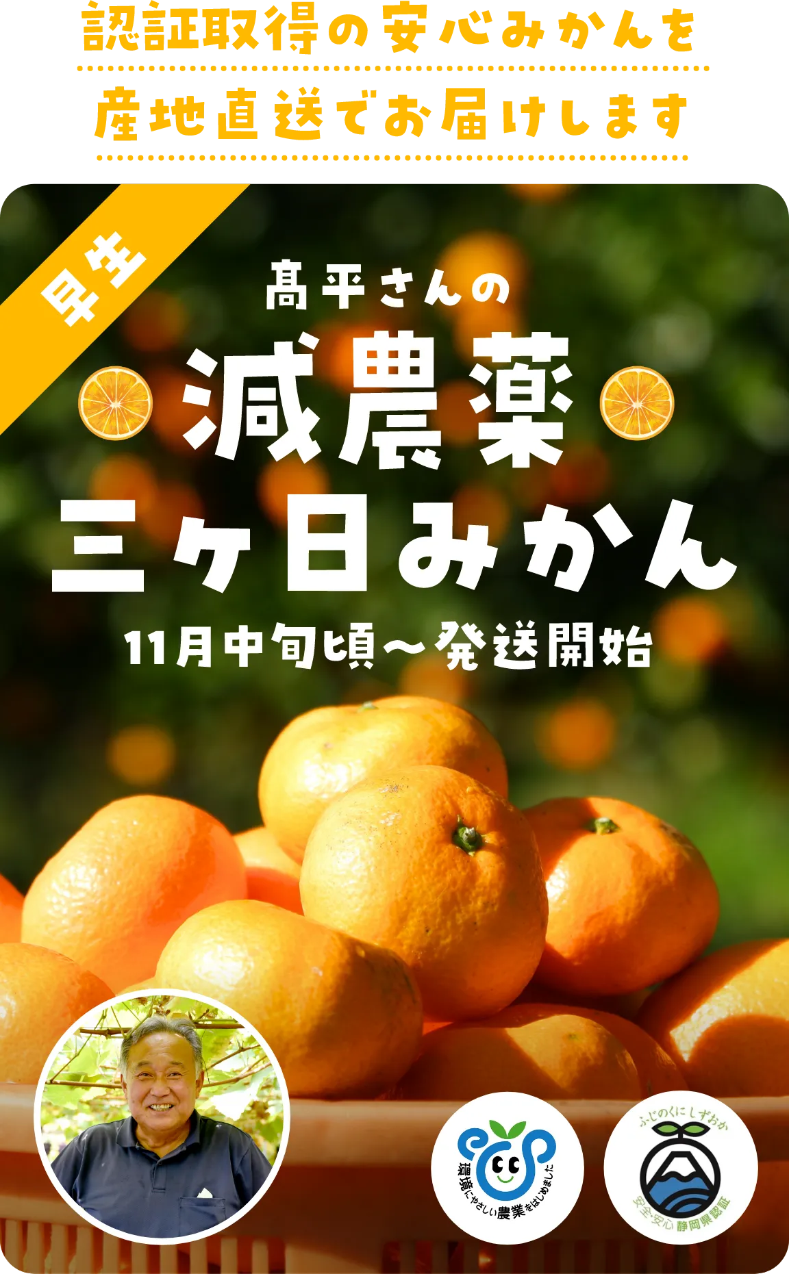 髙平さんの減農薬
三ヶ日みかん