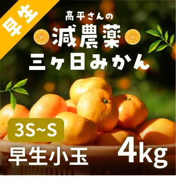髙平さんの減農薬三ヶ日みかん