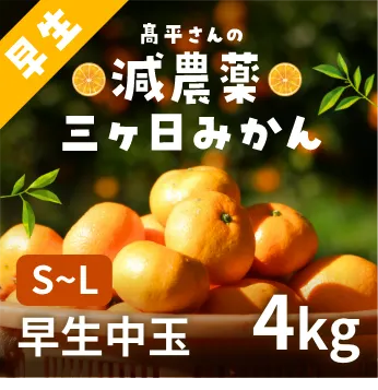 髙平さんの減農薬三ヶ日みかん