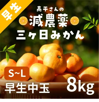 髙平さんの減農薬三ヶ日みかん