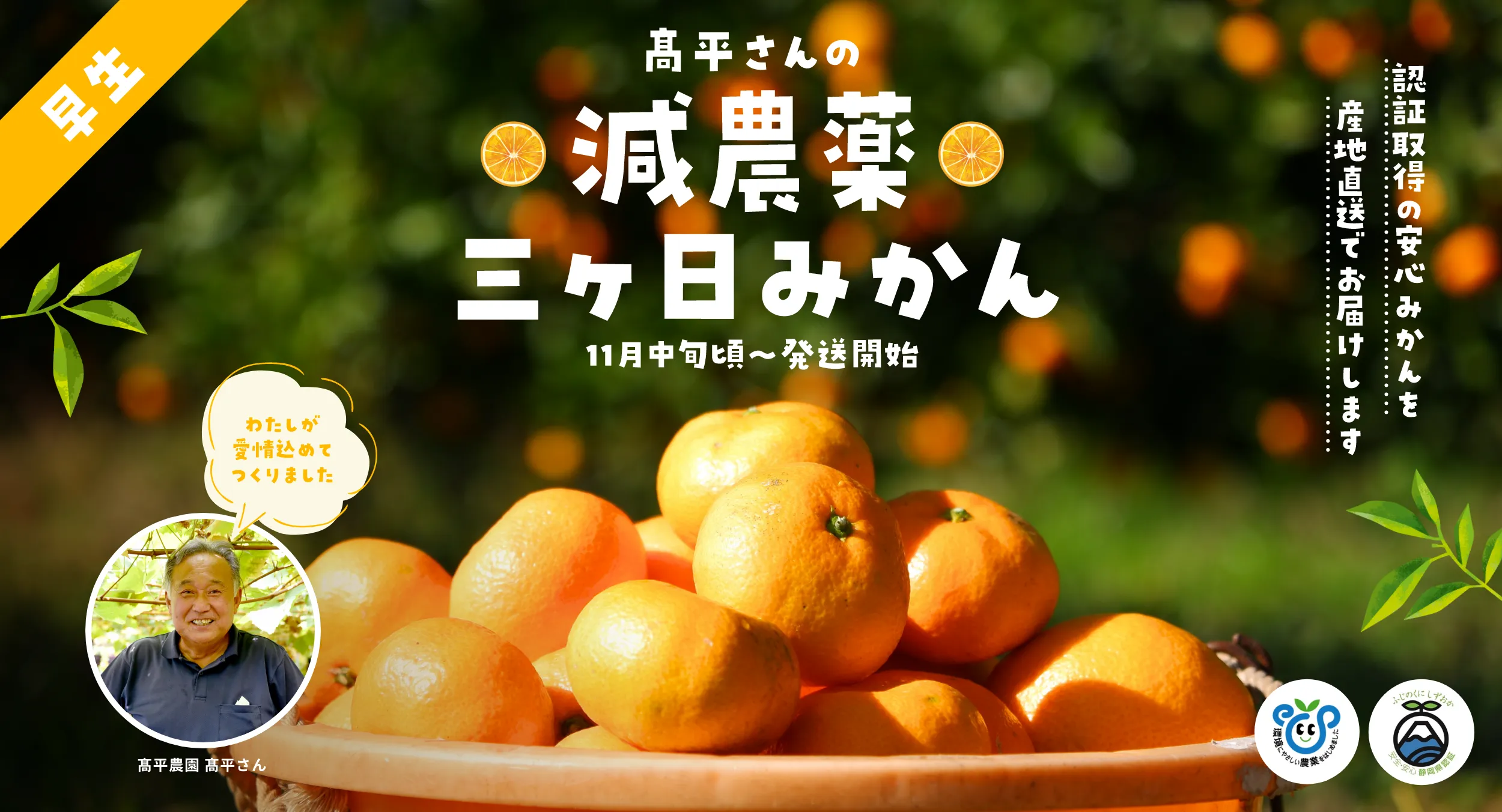 髙平さんの減農薬
三ヶ日みかん