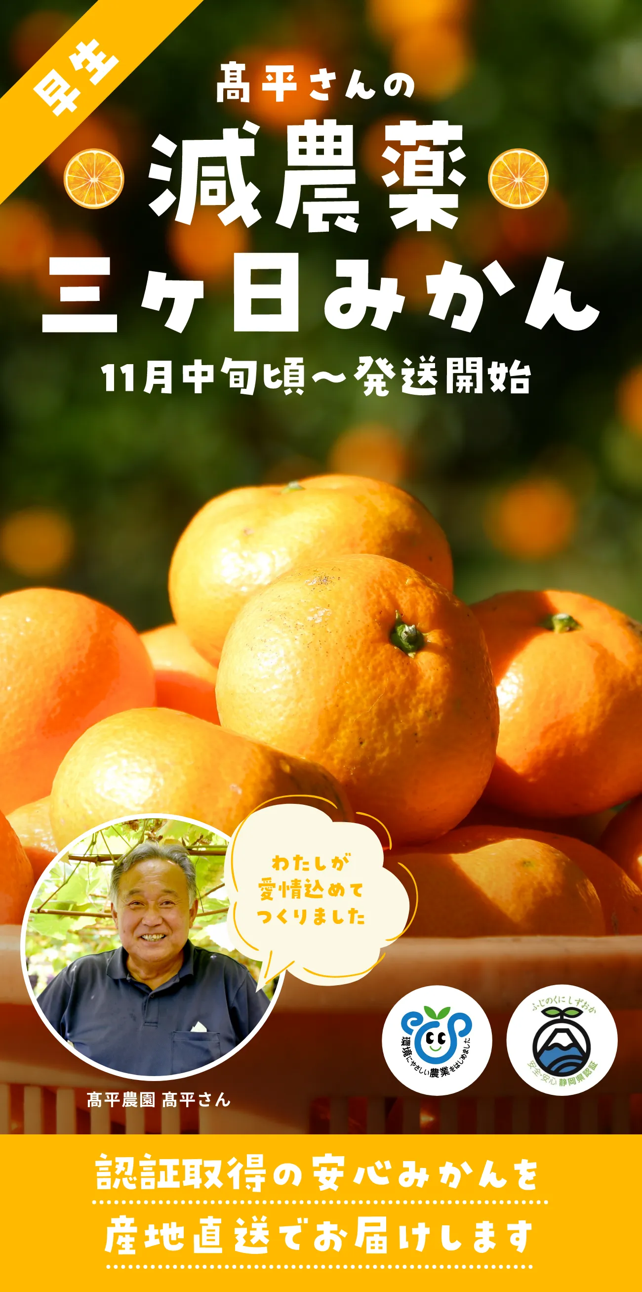 髙平さんの減農薬
三ヶ日みかん